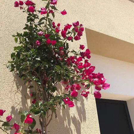 Villa Turmalina With Private Pool In La Zenia
