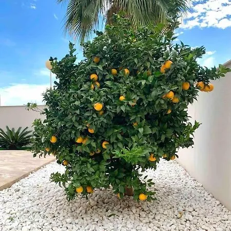 Turmalina With Private Pool In La Zenia *